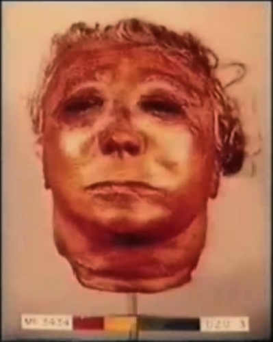 Ed Gein mask resembles Myers |